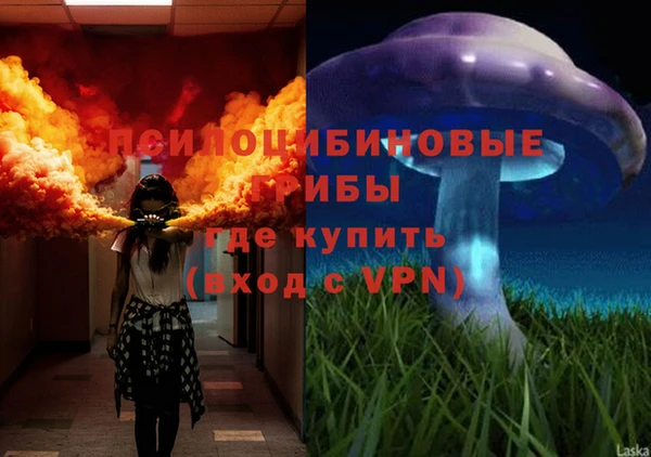 спиды Белокуриха