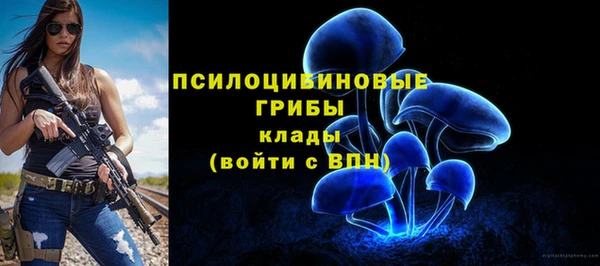 синтетический гашиш Беломорск